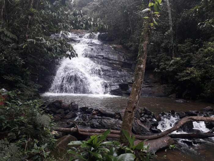 Cachoeira – Foto de Viva Parque Aquático Ecológico, Juquitiba - Tripadvisor