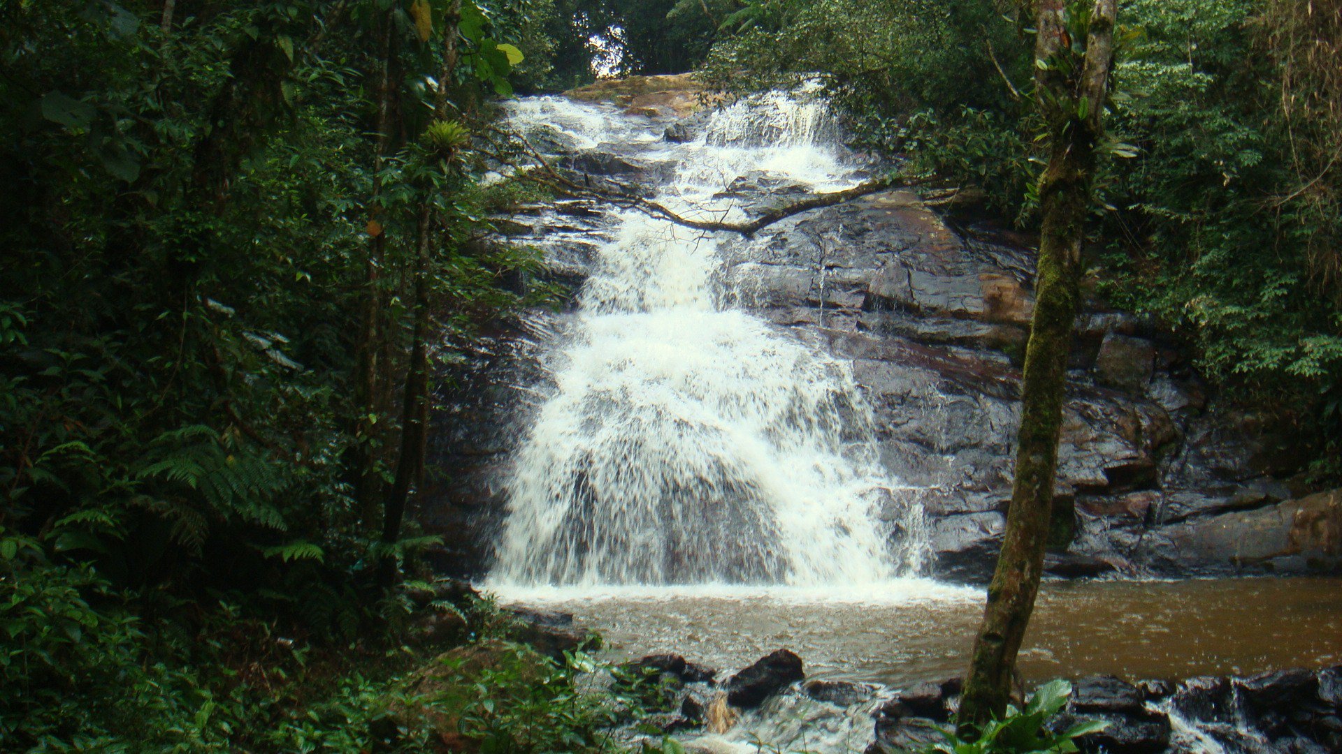 Unicos toboaguas que não funcionam – Foto de Viva Parque Aquático  Ecológico, Juquitiba - Tripadvisor