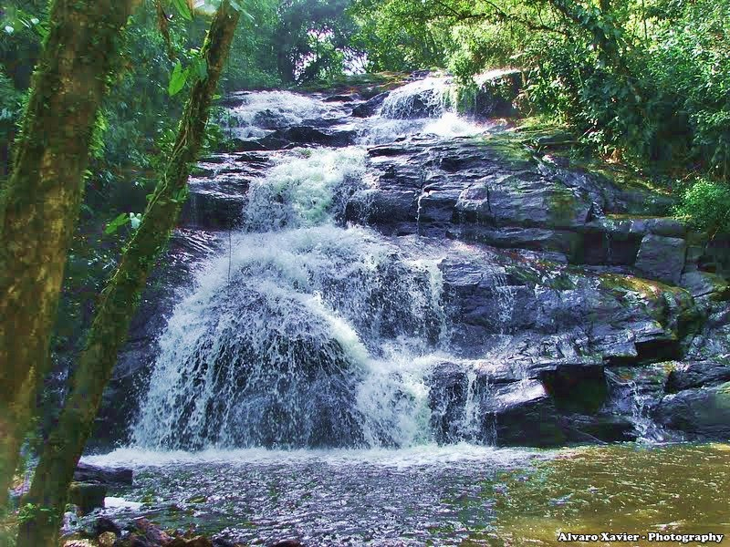 Cachoeira – Foto de Viva Parque Aquático Ecológico, Juquitiba - Tripadvisor
