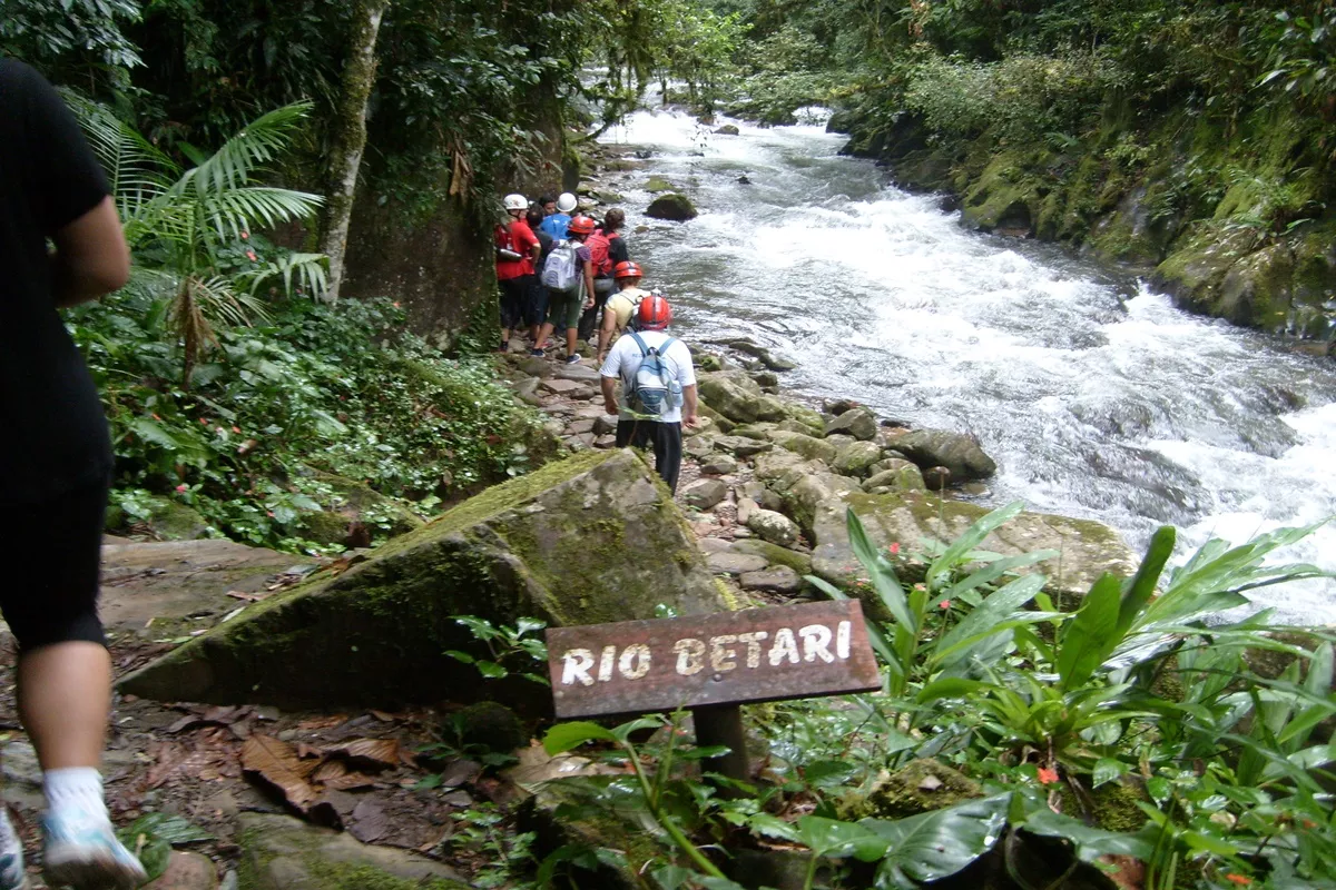 Trilha do Rio Betari em Iporanga