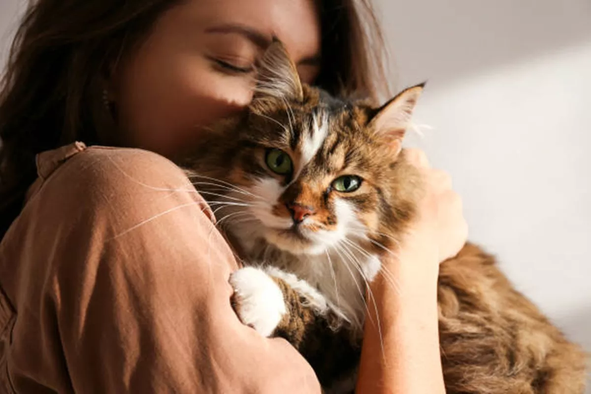 Clínicas Veterinárias em Dois Córregos - SP