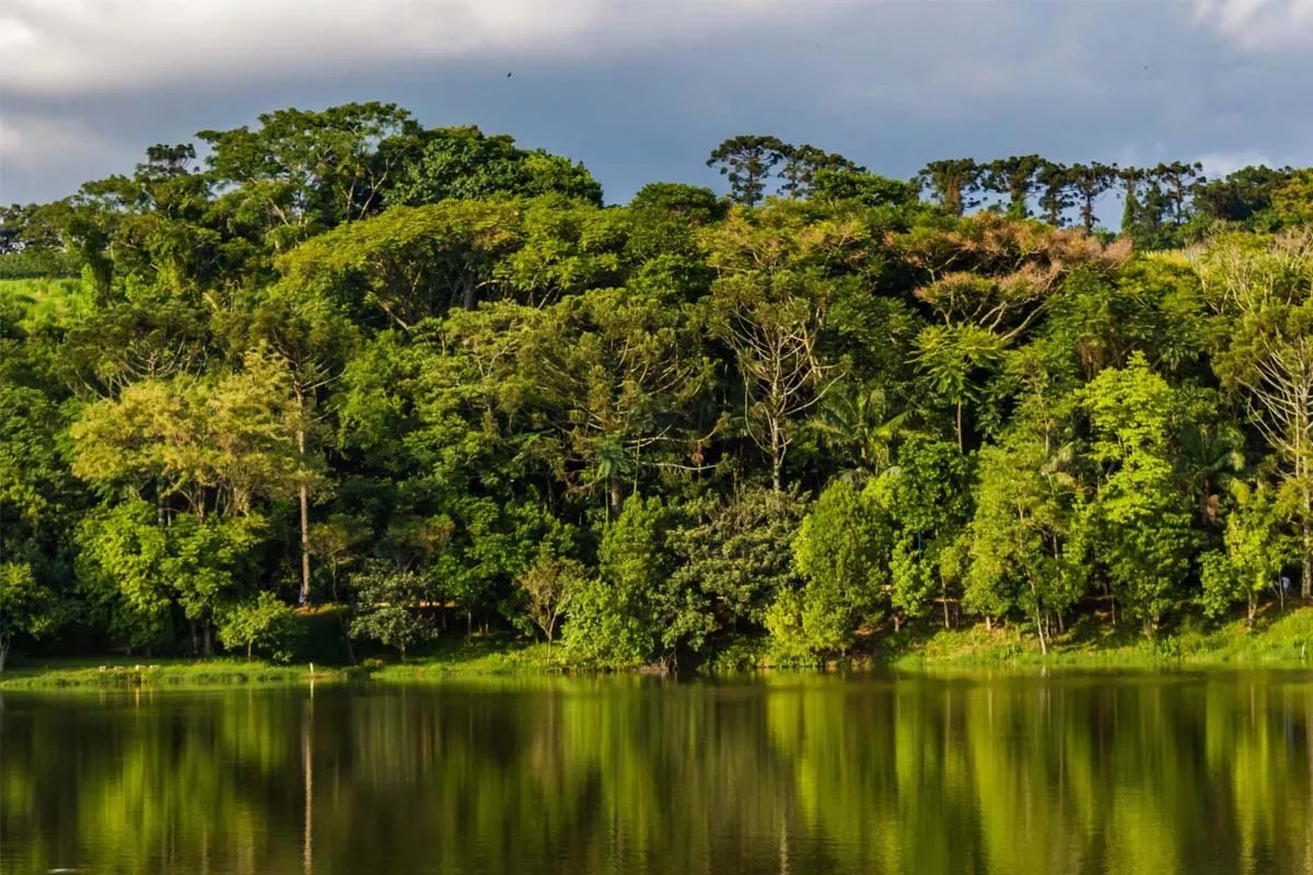 Lago Municipal de Espírito Santo do Pinhal - SP