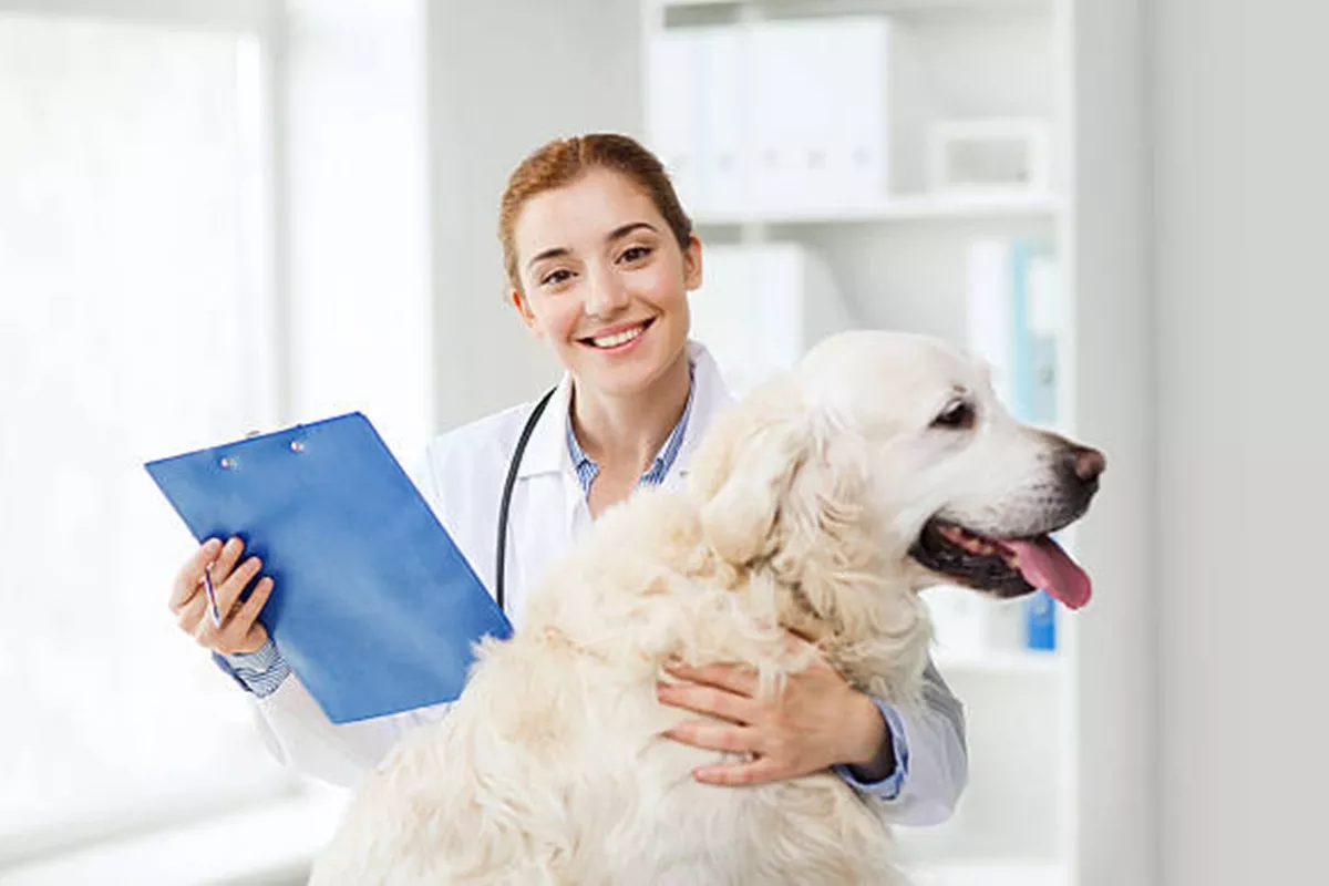 Clínicas Veterinárias em Catanduva - SP