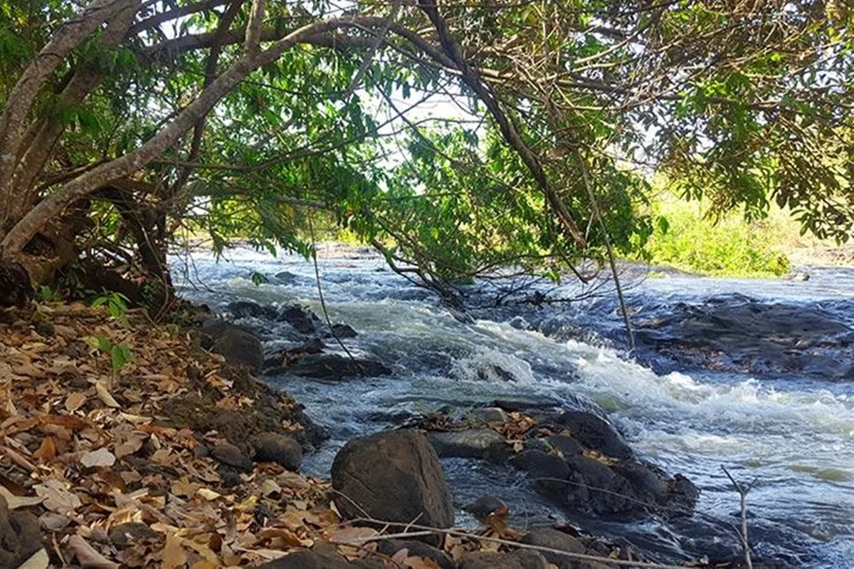 Cachoeira do Arrancado Populina - SP